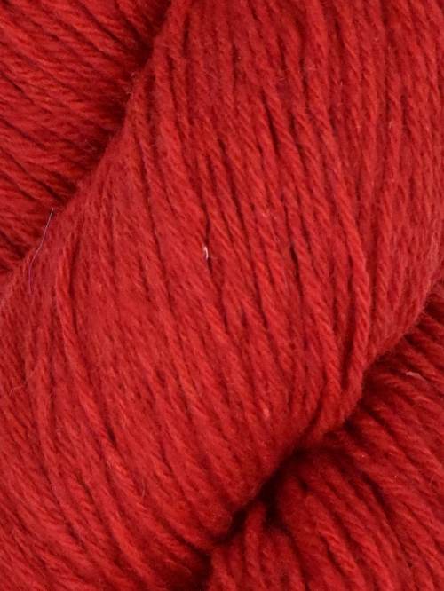 Queensland - Tenderfoot Cardinal