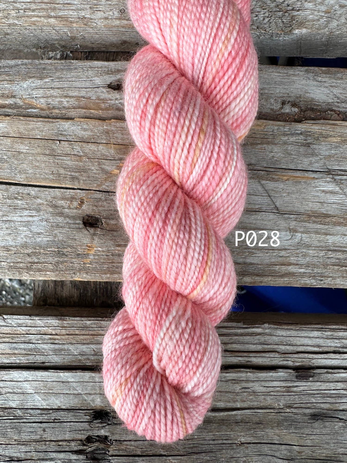 Koigu Wool Designs - Bridgerton Collection KPPPM